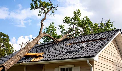 Dachreparaturen vom Fachbetrieb – schnelle Hilfe bei Schäden